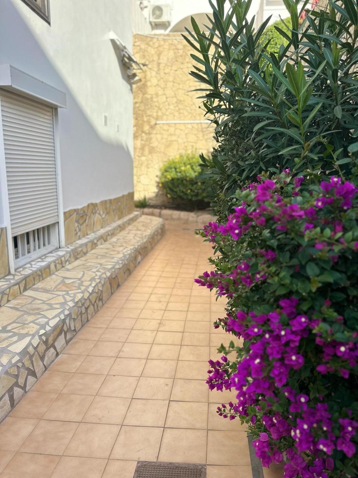 Sunny Sea View Apartment Center Of Las Americas Playa de las Americas  Exterior foto