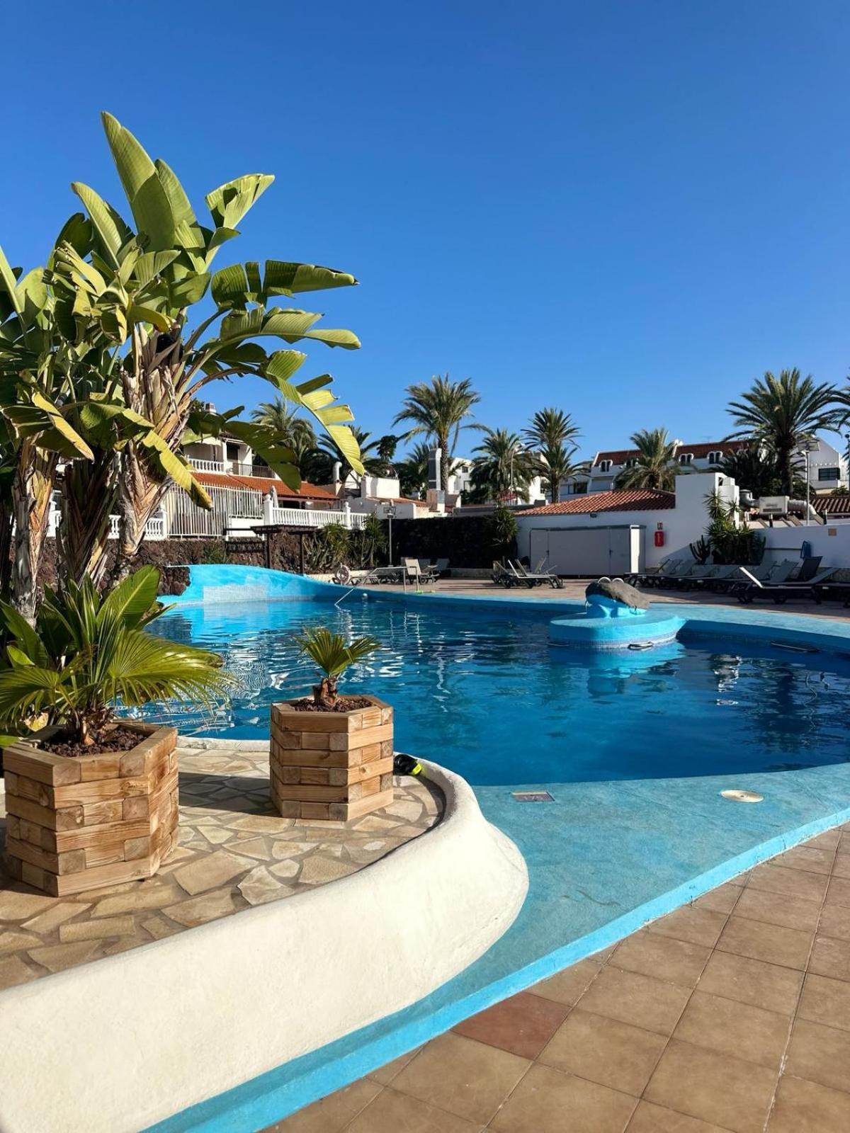 Sunny Sea View Apartment Center Of Las Americas Playa de las Americas  Exterior foto