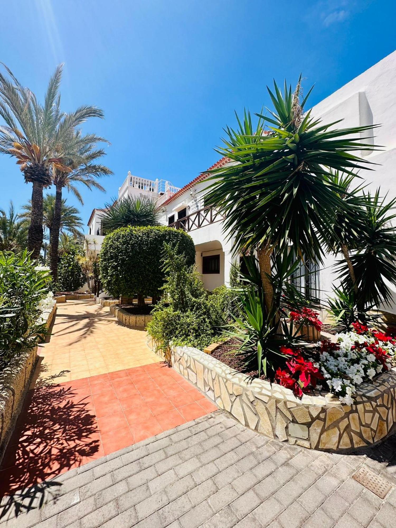 Sunny Sea View Apartment Center Of Las Americas Playa de las Americas  Exterior foto