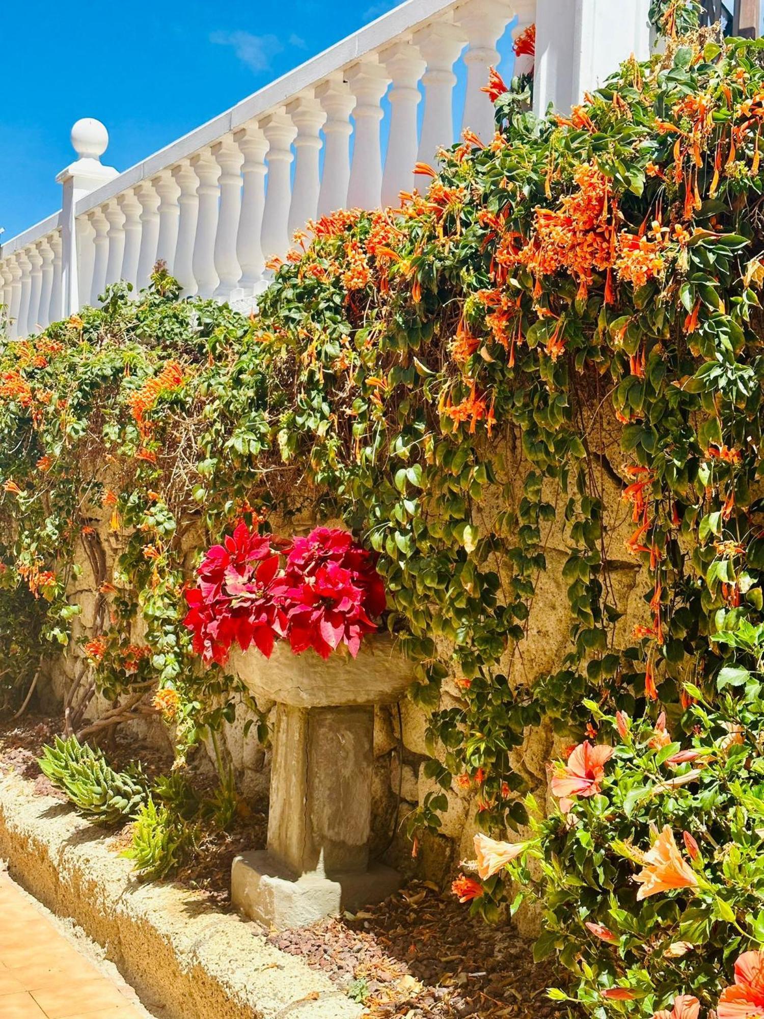 Sunny Sea View Apartment Center Of Las Americas Playa de las Americas  Exterior foto